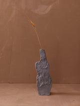 pla 22