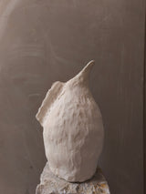 ird 00