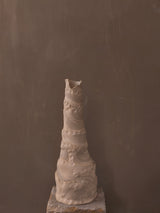 tes 12